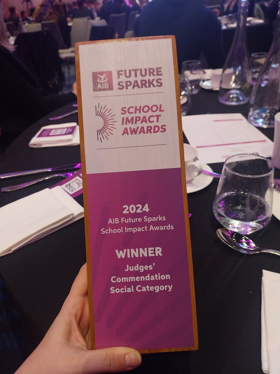 We are super proud to have won the @AIBIreland #FutureSparks 'Social Pillar' award, recognising the work our TY students have done in our local community for years. Grateful for our links with @CheeverstownH & @EoinScoil 💛 long may our work continue. @ddletb #care #community
