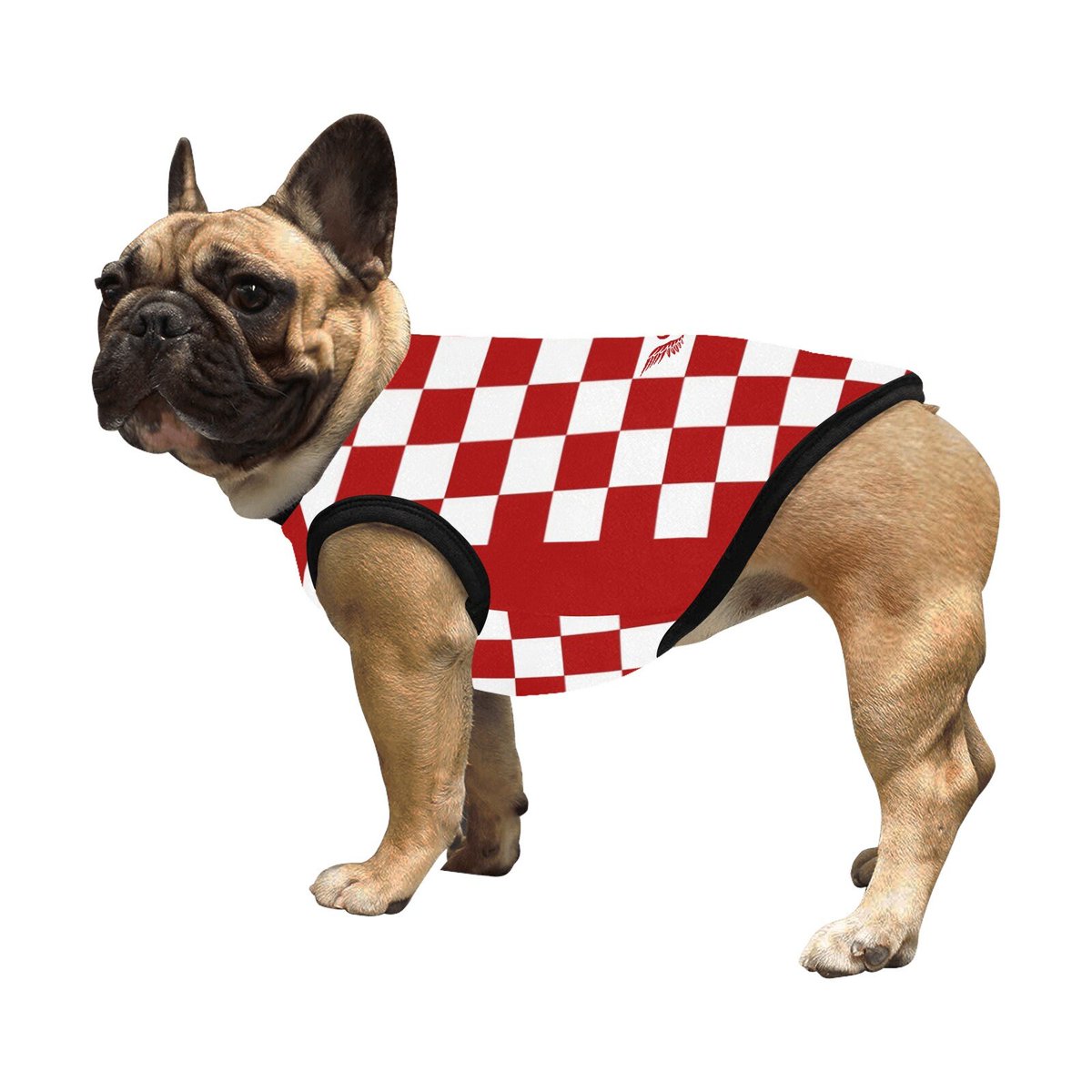 New in our store👉bit.ly/buy-eco👈pet accessories in Croatian style.  Surprise your beloved pet with a cool fashion item🥼 Discounts up to 30%
#pets #petaccessories #dogaccessories #dogs #Croatia #croatianfashion #petstagram #dogfashion #sales #Discounts  #fashionstyle
