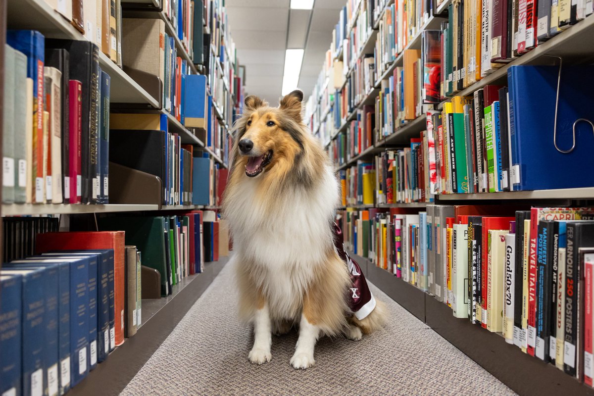 My Aggies told me that reading day isn’t actually about books, but I’ll take any excuse to visit my friends at @tamulibraries!! Happy studying, Ags! I believe in u 🐾