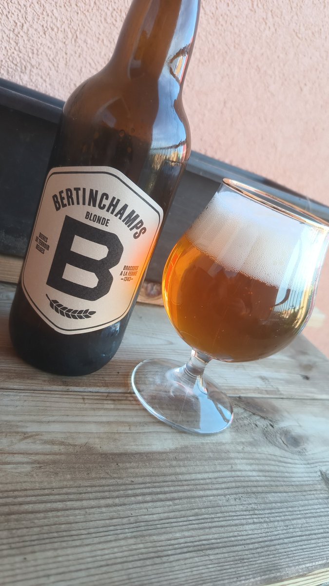 Pozdrav od kolegů z Belgie 🍺

První zkušenost s belgickým stylem a hned napoprvé trefa.🇧🇪