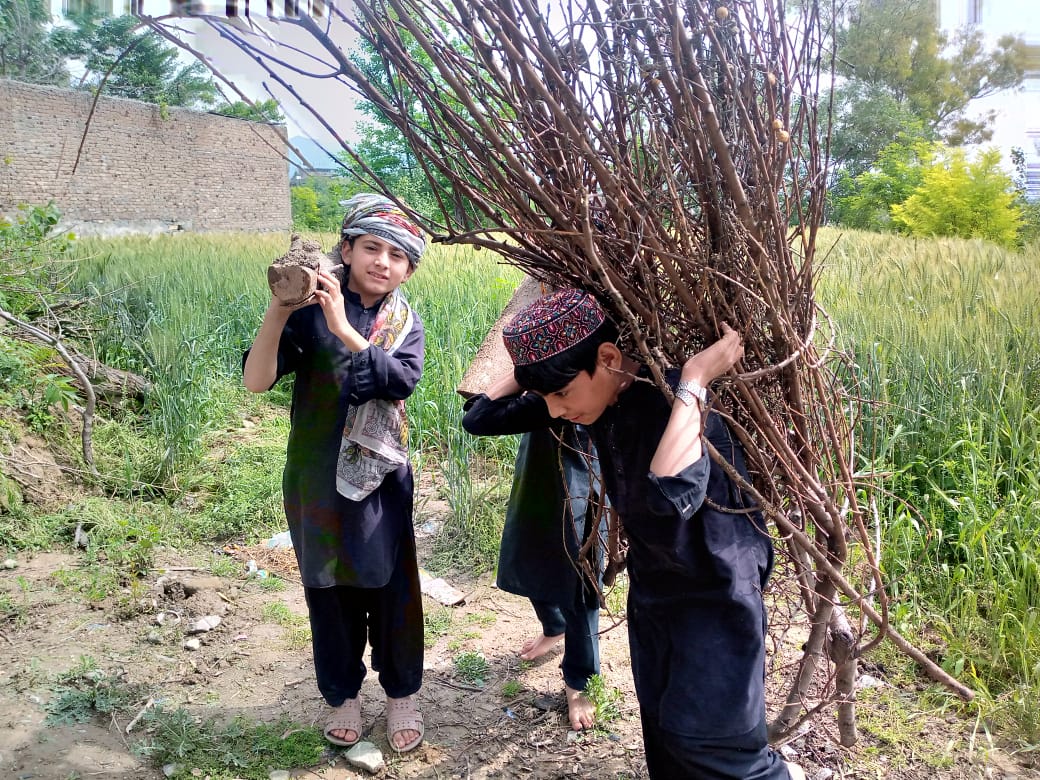 *خیبر پختون خواہ کے کمیونٹی سکولوں میں یوم مزدور کا پر جوش انعقاد* 

 *شہر میں مزدور جیسا در بدر کوئی نہیں* 
 *جس نے سب کے گھر بنائے اوس کا گھر کوئی نہیں*

#education #ESEFKP 
 #عزم_نو #پوھہ #poha #educateyourchildren #labourday #135k #1april #2024trends  #international #Labour