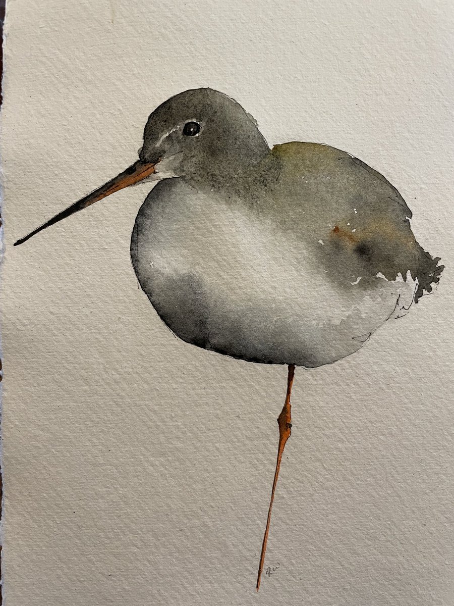 #ArtDD2024 Redshank Forgot to post this last night 🙄 #dailydrawing