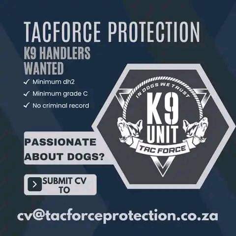 Security Guards Needed!

Benoni, Boksburg, Kempton, Sandton, Fourways, midrand, Modderfontein, Edenvale. Submit CV to cv@tacforceprotection.co.za