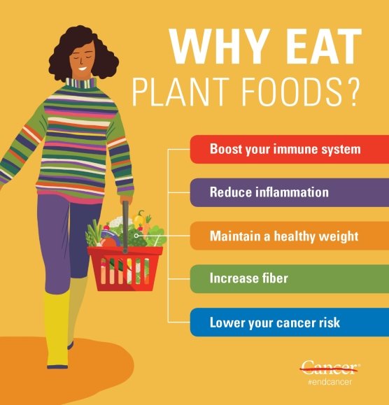 supporting your immune system. Plants have essential nutrients that you cannot get from other foods. The vitamins and minerals, phytochemicals and antioxidants in plants help keep your cells healthy and your body in balance so that ur immune system can function at its best(3/7)