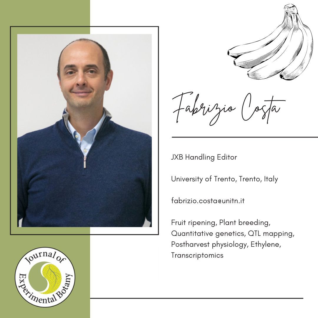 Meet Fabrizio Costa, academic at the University of Trento, in Italy, and one of our handling editors. His research focuses on #fruit aging, plant #propagation, #gene mapping, post-harvest biology, #ethylene, and transcriptomics. 🍎🌿 #Botany #PlantGenetics #UniversityofTrento