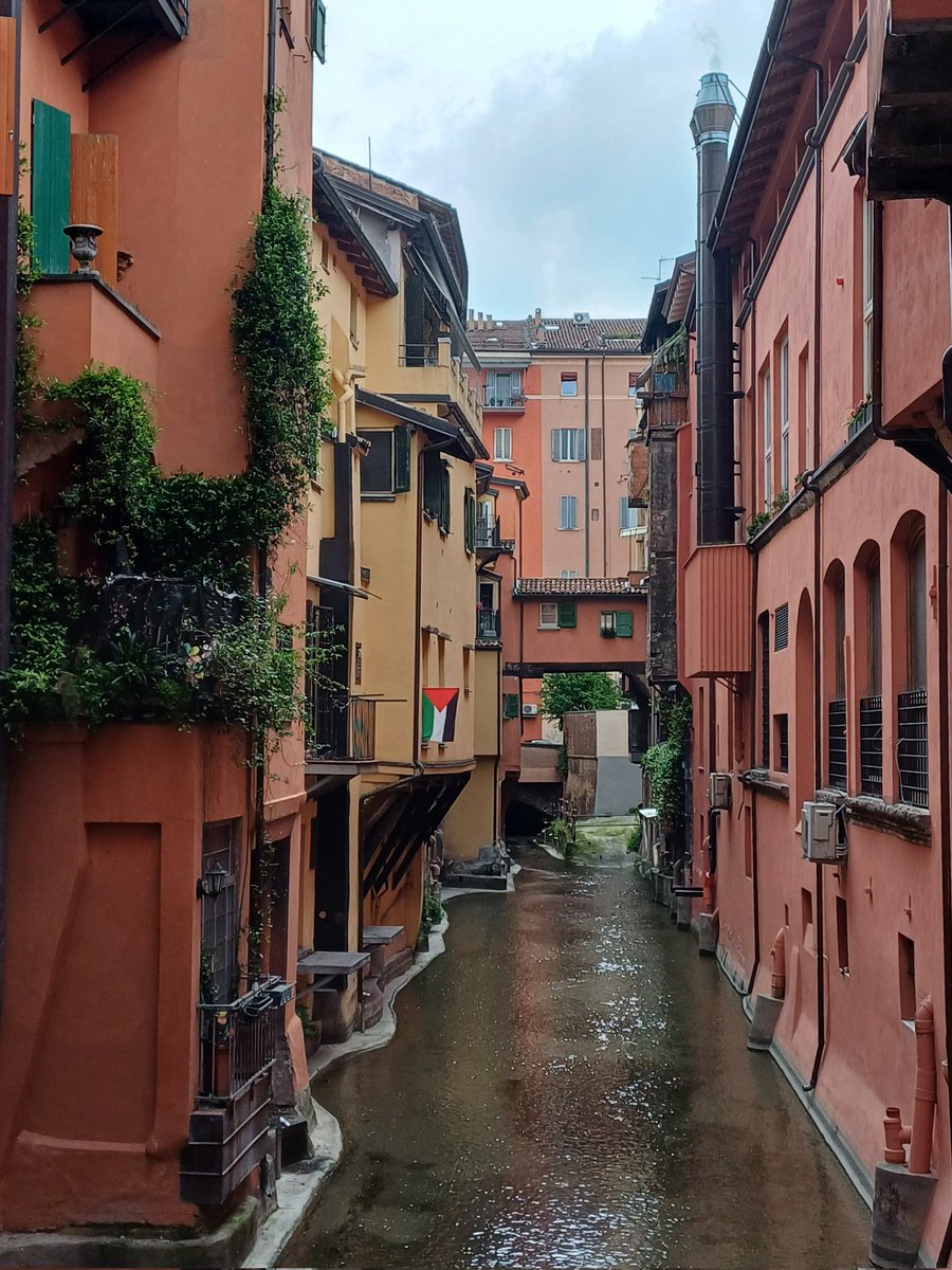 !!!!! the only canal left in bologna