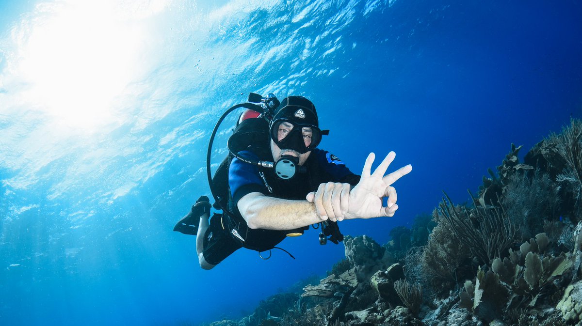 Discover the resilience of Curaçao's tourism industry and the significance of Labor Day 2024 in our latest article!🌟 
👇READ MORE 👇 
divecuracao.info/dive-travel/la… #scubadiving #diving #tourism #LaborDay #HardWorkPaysOff #curacao #Caribbean #Sustainability