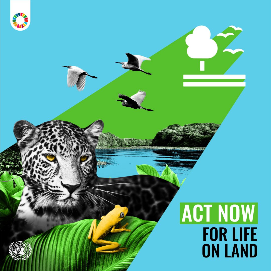 Protecting life on land is crucial for our planet's future. Learn how Goal 15 aims to conserve ecosystems, combat desertification, and reverse land degradation. Together, we can make a difference! 🌱 #GlobalGoals
un.org/sustainabledev…