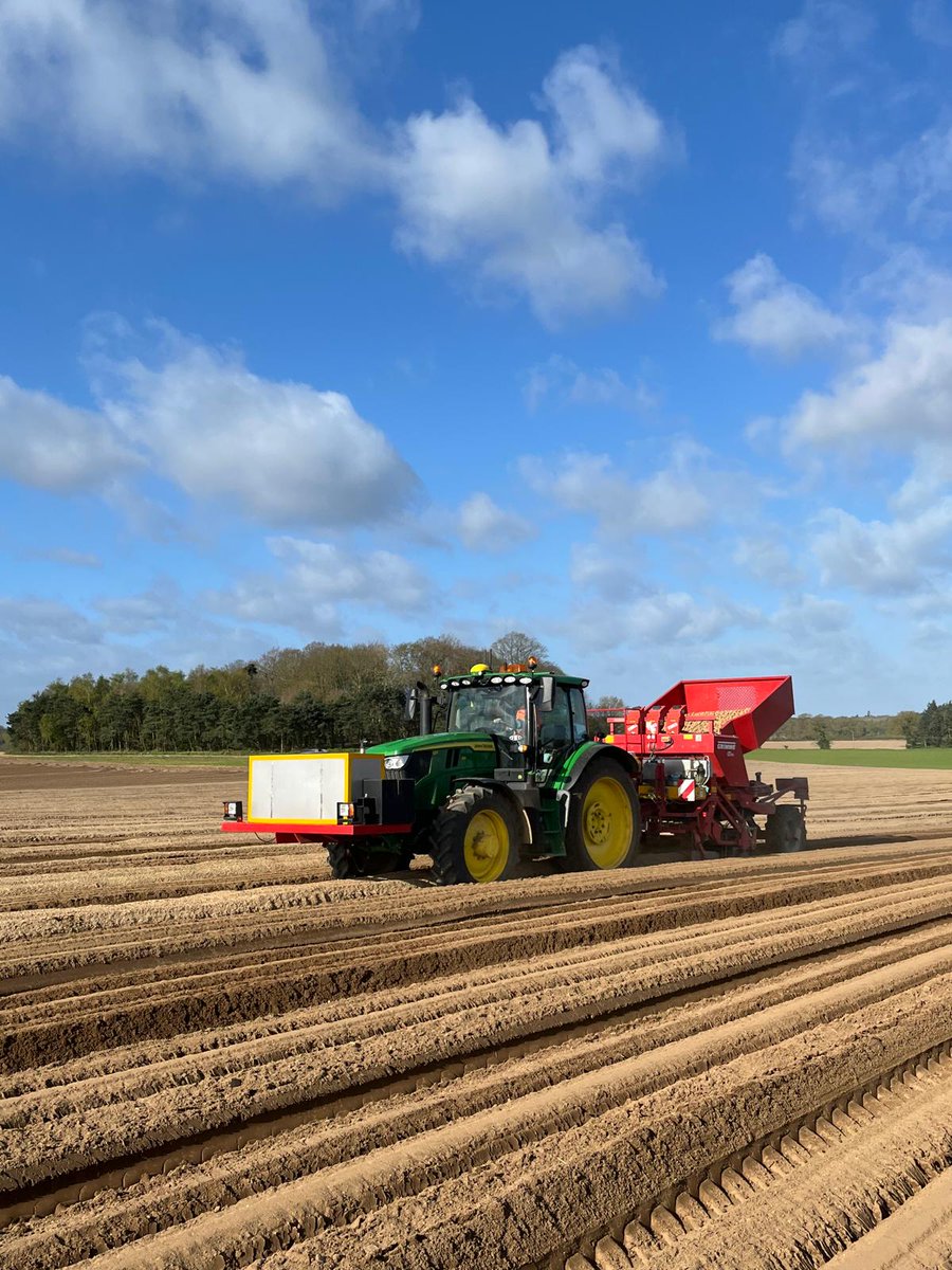 Spearhead Potatoes tweet media