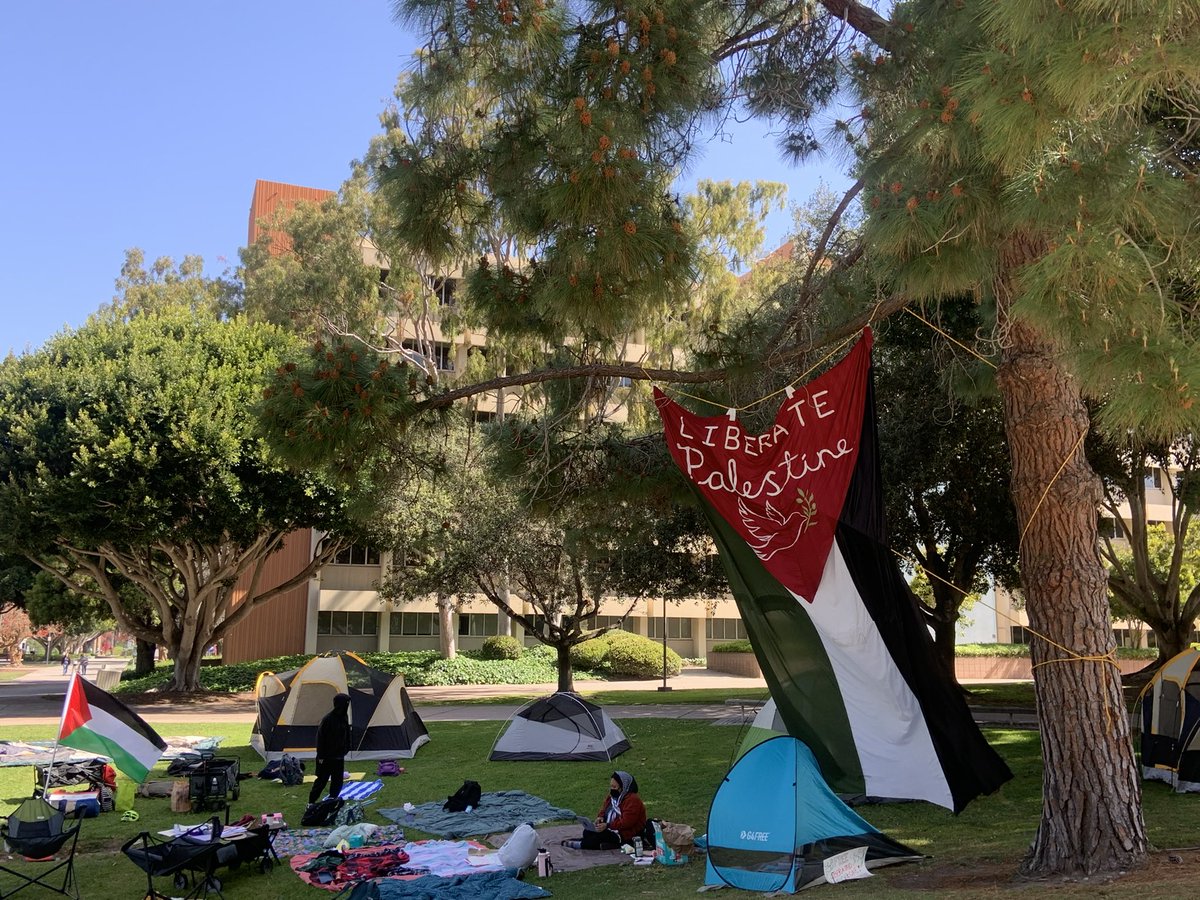 dailynexus's tweet image. Around 55 students have set up an encampment at the lawn between North Hall or “Malcolm X Hall” and the Library in solidarity with Palestine and “all oppressed people.”