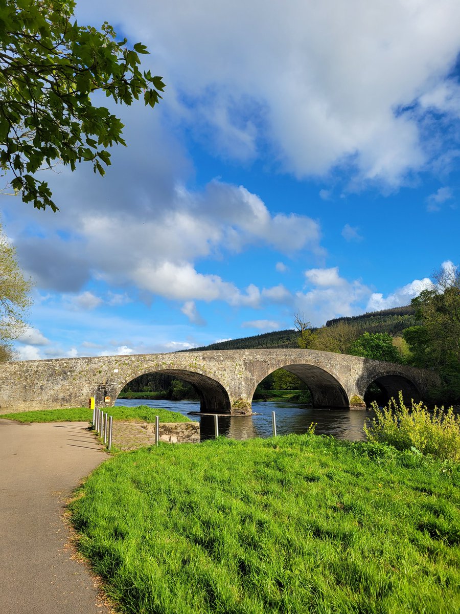 Geraldine Mcloughlin tweet media