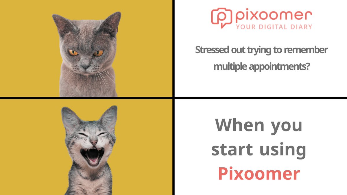 yazoomer's tweet photo. Forget the stress of remembering multiple appointments! Pixoomer has got you covered. Stay on top of your schedule effortlessly. ⏰✨⁣⁣⁣

#Pixoomer #AppointmentManagement #LatestFeatures #DownloadNow https://t.co/yLal9Kf1po
