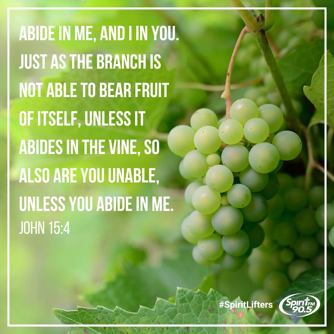 Do you want your efforts to bear fruit? Abide in Christ! 🍇🙏
.
.
.
#livewithspirit #spiritlifter #spiritlifters #spiritfmthoughtfortheday #motivation #motivational #motivationalquotes #inspiration #inspirational #inspirationalquotes #spirital #spirituallife #spirituality