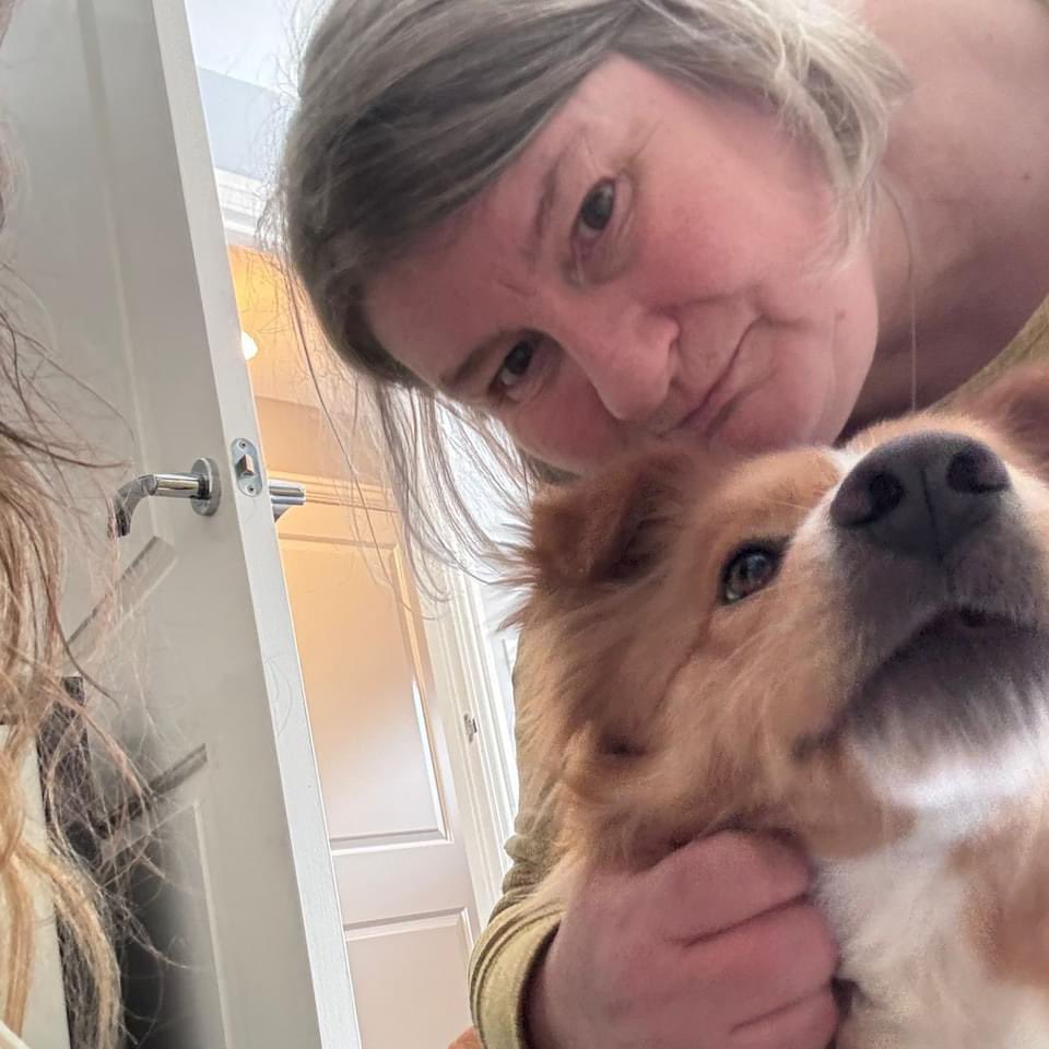 Suzy, one of our volunteers, paid a little visit to Noa and George this week! Both were abandoned by their previous rescuer, but are now living a life full of love💙🩵 If you can give one of our dogs the love that they deserve please email us at adoptions@savingstrays.org.uk
