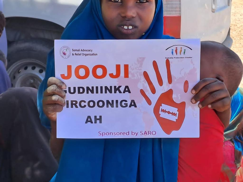 @GPtoEndFGM @UNFPABF @UNFPA @UNFPA_WCARO @UNICEF @WHO @UNICEF_Burkina @ENDFGM_Network @EndingFGM @MenEndFGM @CanadaFgm @USEndFGMNetwork @FGMCentre @UN @UNFPA_ESARO @SennenHounton @FORWARDUK #ENDFGM_in_Somalia