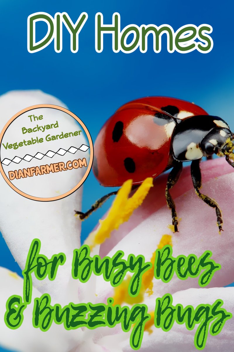 🐝🌼 Learn how to build a bee hotel to help our tiny friends thrive. #SavetheBees #PollinatorParadise 🌺

dianfarmer.com/diy-pollinator…
#gardensofinstagram #gardening