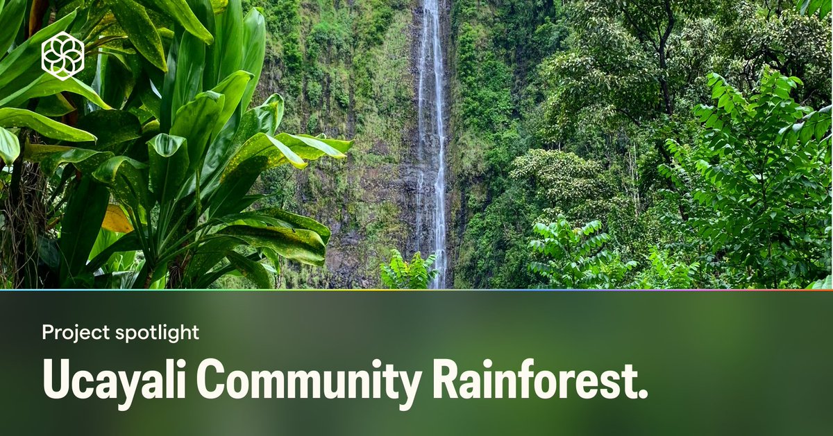 Let’s step into the heart of the Peruvian Amazon with Ucayali Community Rainforests. This project protects over 100,000 hectares of lush forest while honoring the vibrant cultural heritage of indigenous communities. Learn more: app.pachama.com/projects/ucaya… #Pachama #ForestManagement