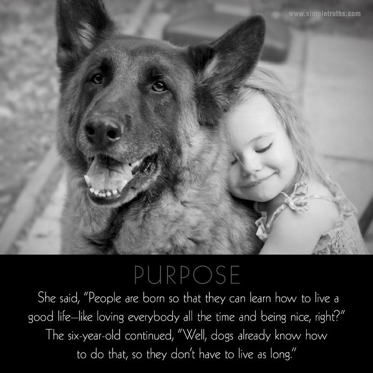 Dogs give us purpose. #dogsarelove