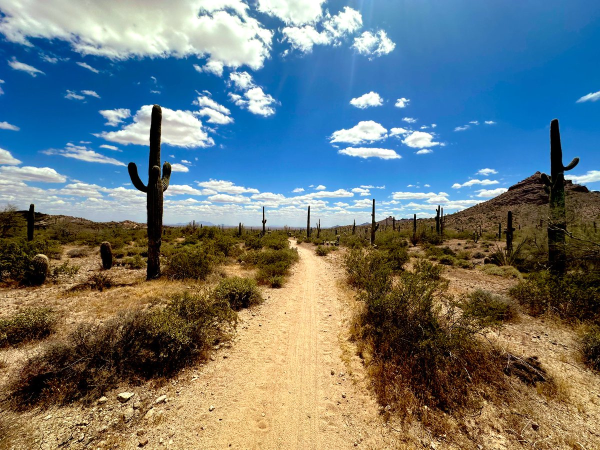 It’s getting hot out there but not hot enough to stop us from hitting this great trail in #SanTanValley. We did 7.6 miles on this one, can’t wait to get back out there this weekend! Never be afraid to #DareTheDesert! #azhiking #phx #arizonadesert #arizonahiking #arizonaoutdoors