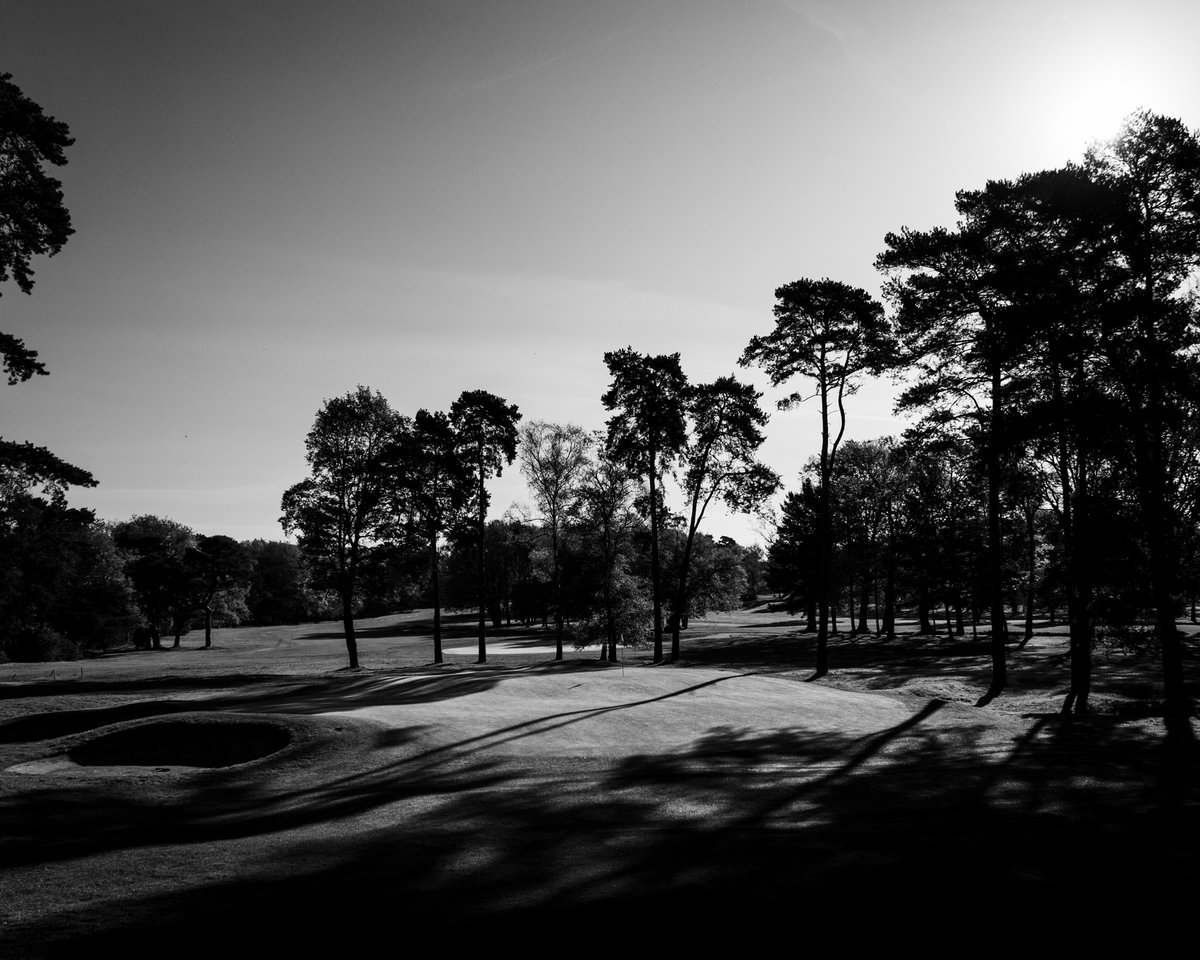 Focussed tree management work has allowed the majesty of the bigger and healthier ones to really shine.

At sunrise and sunset the long shadows they cast across the course creates a delightful contrast.