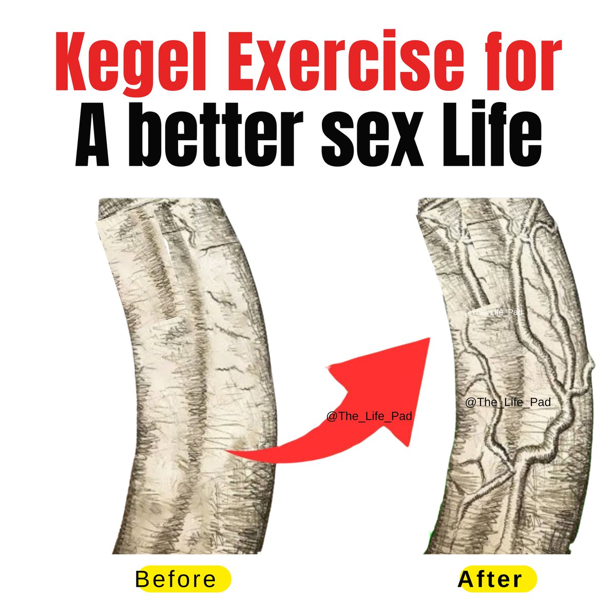 Kegel Exercises for a better sex Life, Surprise Your Wife/ girlfriend in the bedroom...🍆 (Learn how) 👇