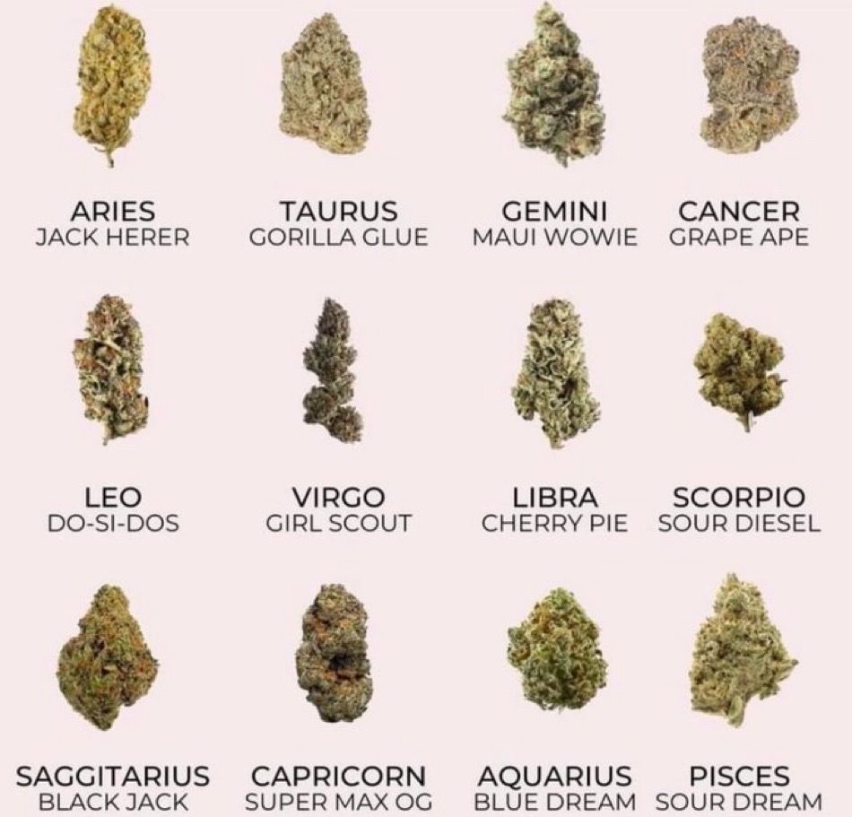 Which strain is your sign?