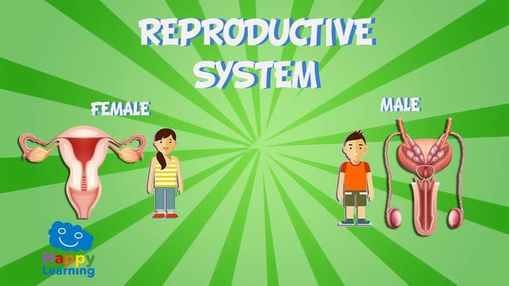 Those people are female, male and male. We know this because their reproductive systems are female, male and male. You’re welcome.