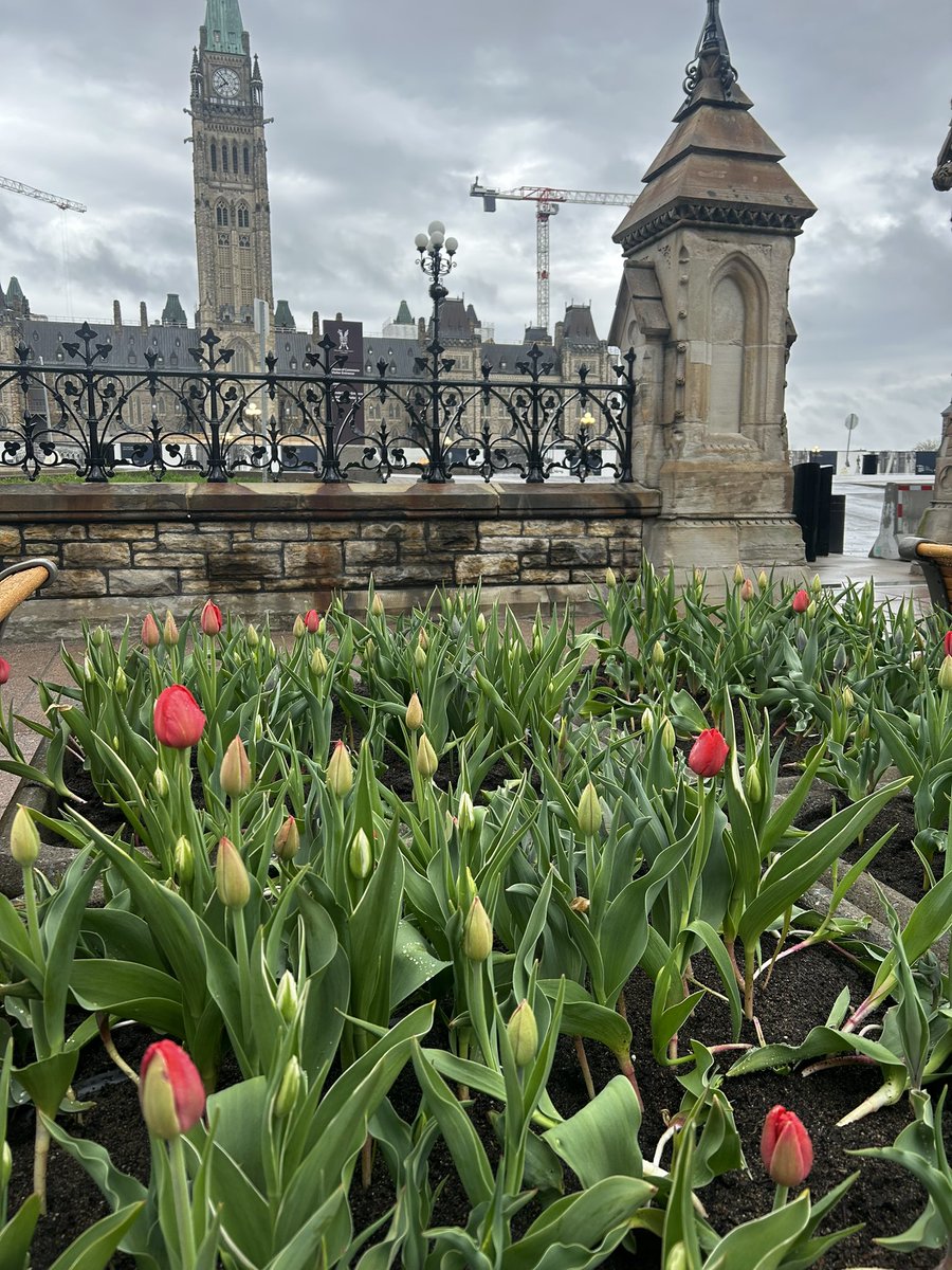 Sydney is in Ottawa for @NatureCanada Nature on the Hill to advocate for a fully-funded, enforceable, and equitable National Biodiversity Strategy. Not only will this help protect our natural environment, but the communities and people that are so connected to it #Nature