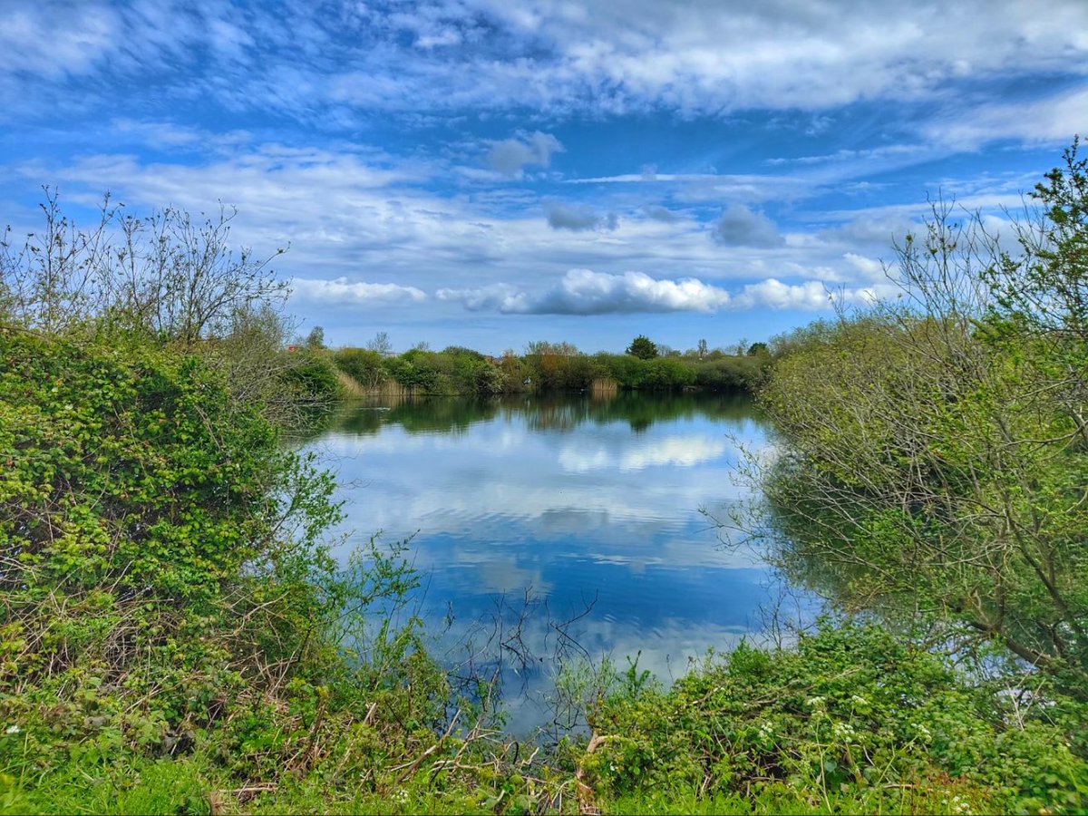 #spring has sprung at Brickfield Pond Nature Reserve at #Rhyl. Lovely place to visit for the #wildlife #denbighshire #northwales