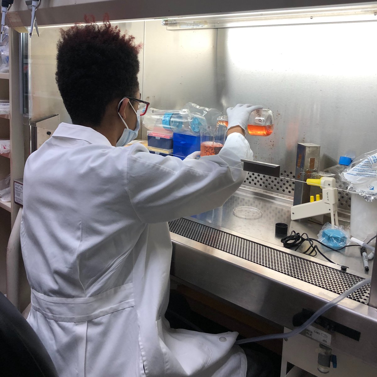 The Rise Up Scholar's program sponsors students to work in a professional research lab over the summer. This paid internship gives students exposure to cutting edge science at partnering research institutes.