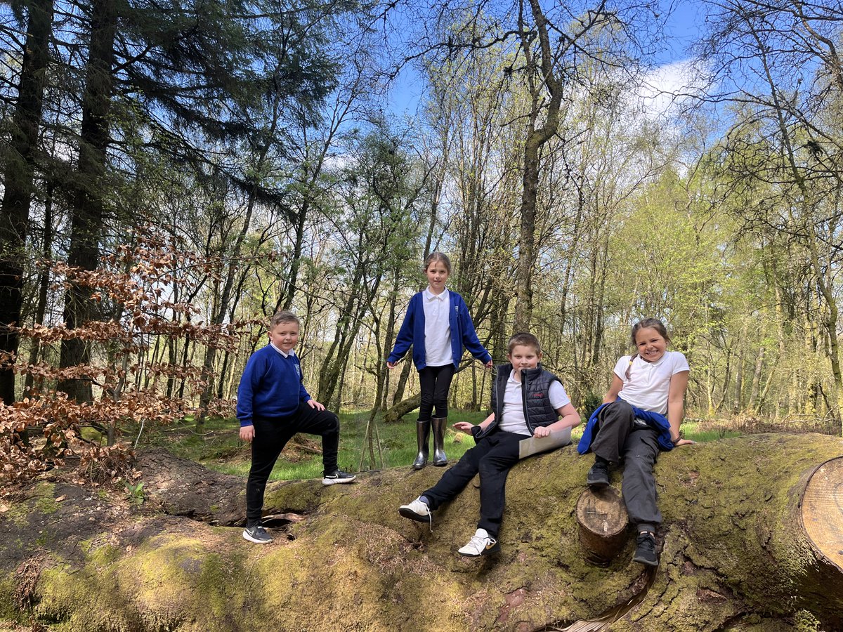 Some of our pupils attended their first session at Mugdock Country Park to take part in their forest schools programme 🌳🦌🦊