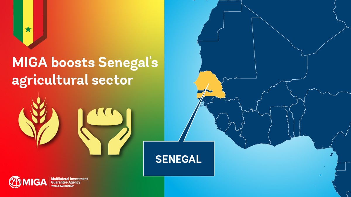 We've issued a guarantee of €298.5 million to support #Senegal’s trade transactions, supporting local farmers and the #agribusiness sector.

This project will enhance #foodsecurity and drive sustainable growth.

More: wrld.bg/qL1Q50RqPFt

#Livableplanet @StanChart