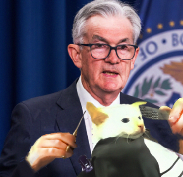 A special message to Powell: Don't care, didn't ask, cat getting fade.