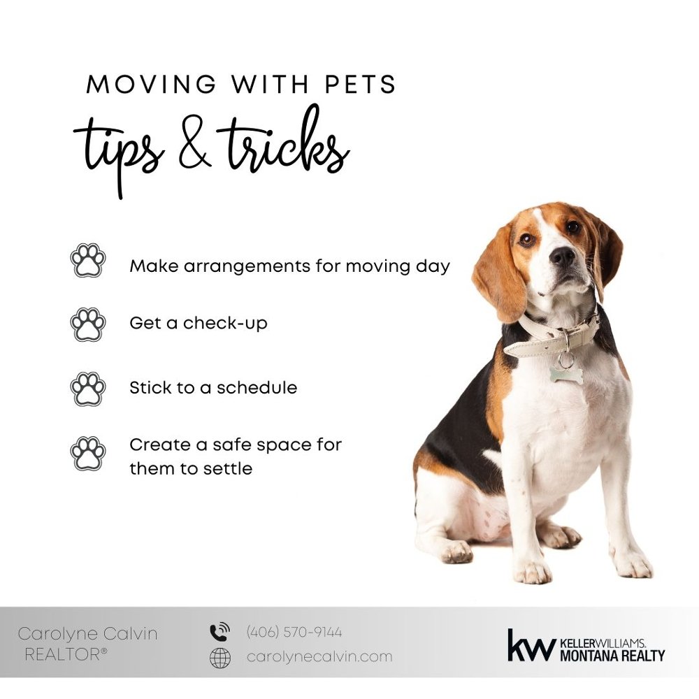 These helpful tips ensure a smooth transition for your furry friends during your move!
.
.
.
#MovingWithPets #PetFriendly #HomeSweetHome #NewHome #Homeownership #PetSafety #MovingDay #Homeownership #FurParent