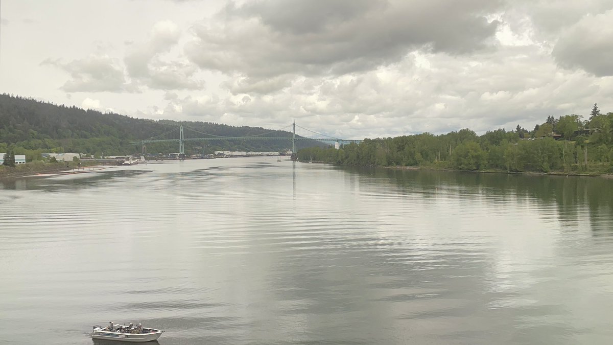 Highlight of living in the Northwest. Train ride from Portland to Seattle on the @Amtrak Cascades. Leg room for miles!