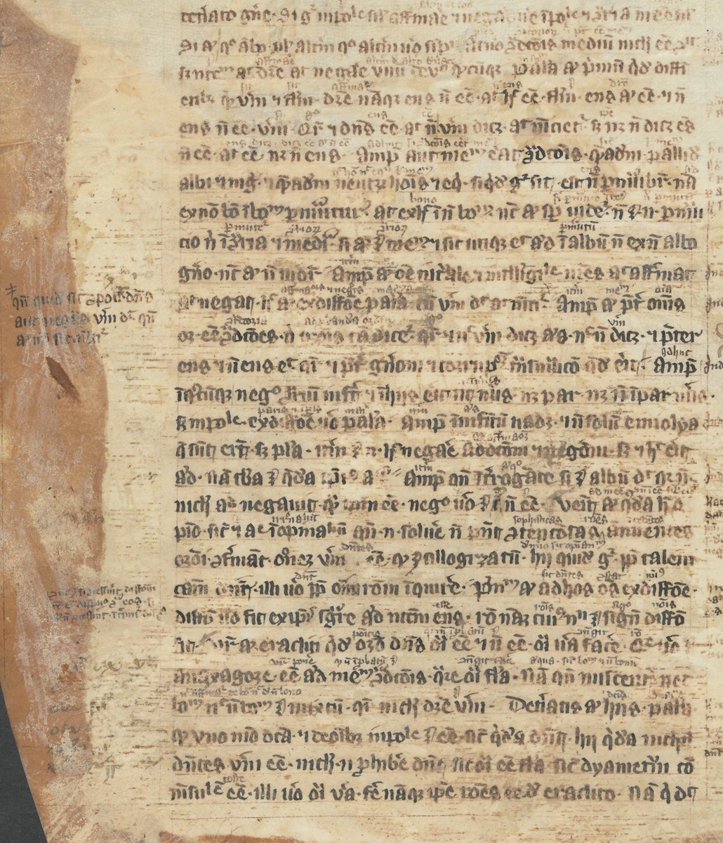 Fragments from a heavily annotated MS of Aristotle's Metaphysica, Latin version by William of Moerbeke (@unirostock, Fragm. philol. 31) #fragmentology
purl.uni-rostock.de/rosdok/ppn1817…