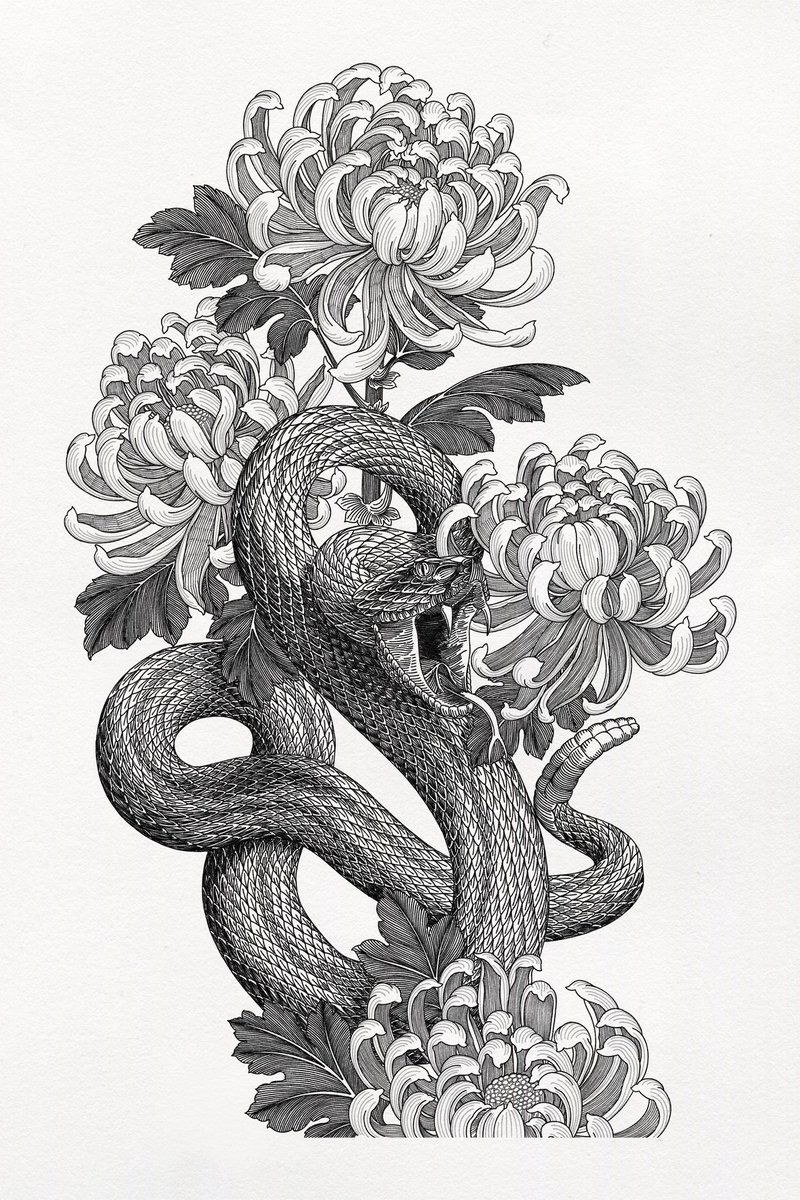 I pedantically drew every scale to create an authentic vision of the snake. Love the result and will be happy to make a sleeve tattoo with this design.

#tattoosleevedesign #snaketattoos #chrysanthemumtattoo #tattoosleeves #flashtattoo #flashart