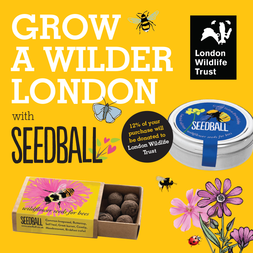 London Wildlife Trust is delighted to partner with @seed_ball to inspire more people to grow wildflowers to increase our pollinator populations. 🌼 For every purchase made through our link 12% will be donated to London Wildlife Trust. Shop here 👇 seedball.co.uk/londonwildlife…