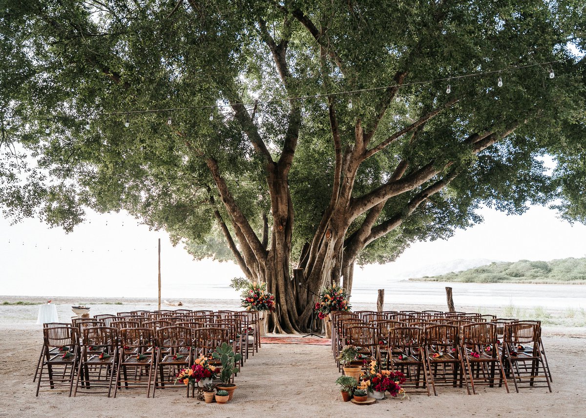 Dreaming of a destination wedding in paradise? ✨🌴💍

Part two of our extravagant off-site venues in the Caribbean is here, where we explore more luxurious wedding locales, this time in the Dominican Republic, Jamaica, and Costa Rica! 🌴

📸 Pangas Beach Club