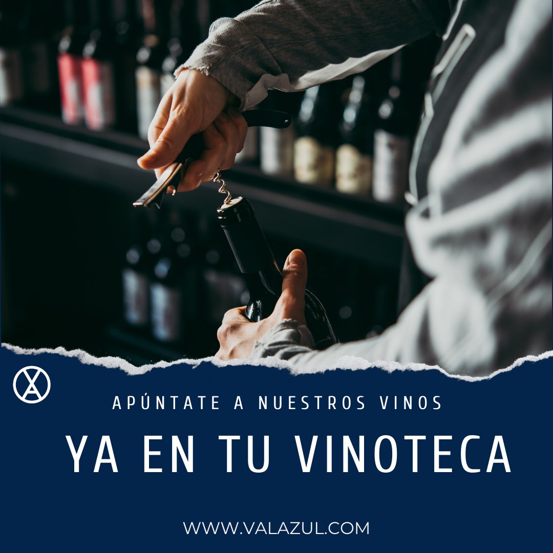 Nuestros vinos no pueden faltar en tu vinoteca. Tanto si eres aficionado como profesional de la hostelería, ¡tienes que incluir Val Azul! #enoturismo #vino #vinoteca #vivemadrid #bebemadrid @madridenoturismo @vinosdemadrid