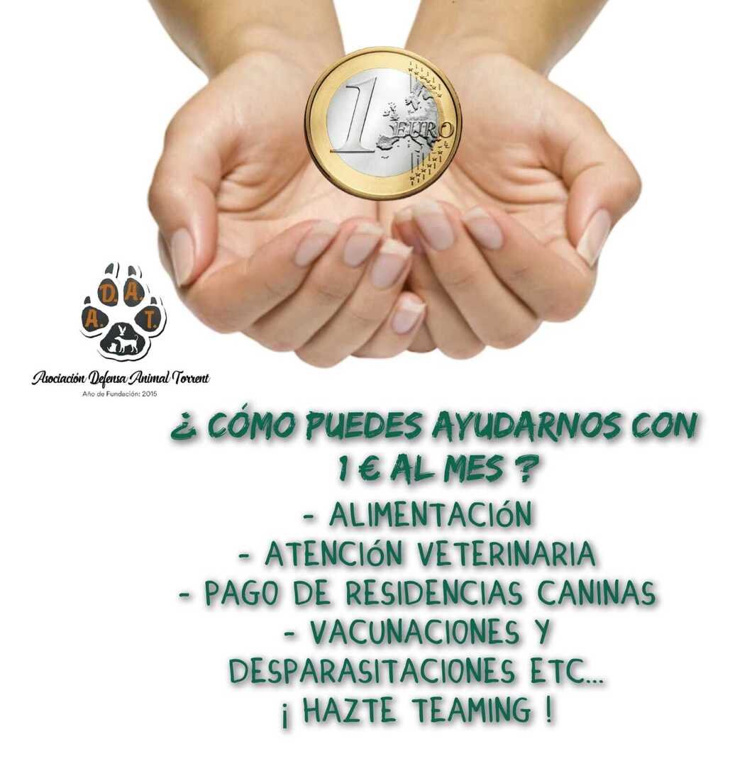 Nunca 1€ podrá ser más útil, valioso, vital y solidario. ¡ Ayúdanos a seguir ayudando a los animales ! Hazte teaming. 💚 teaming.net/adat