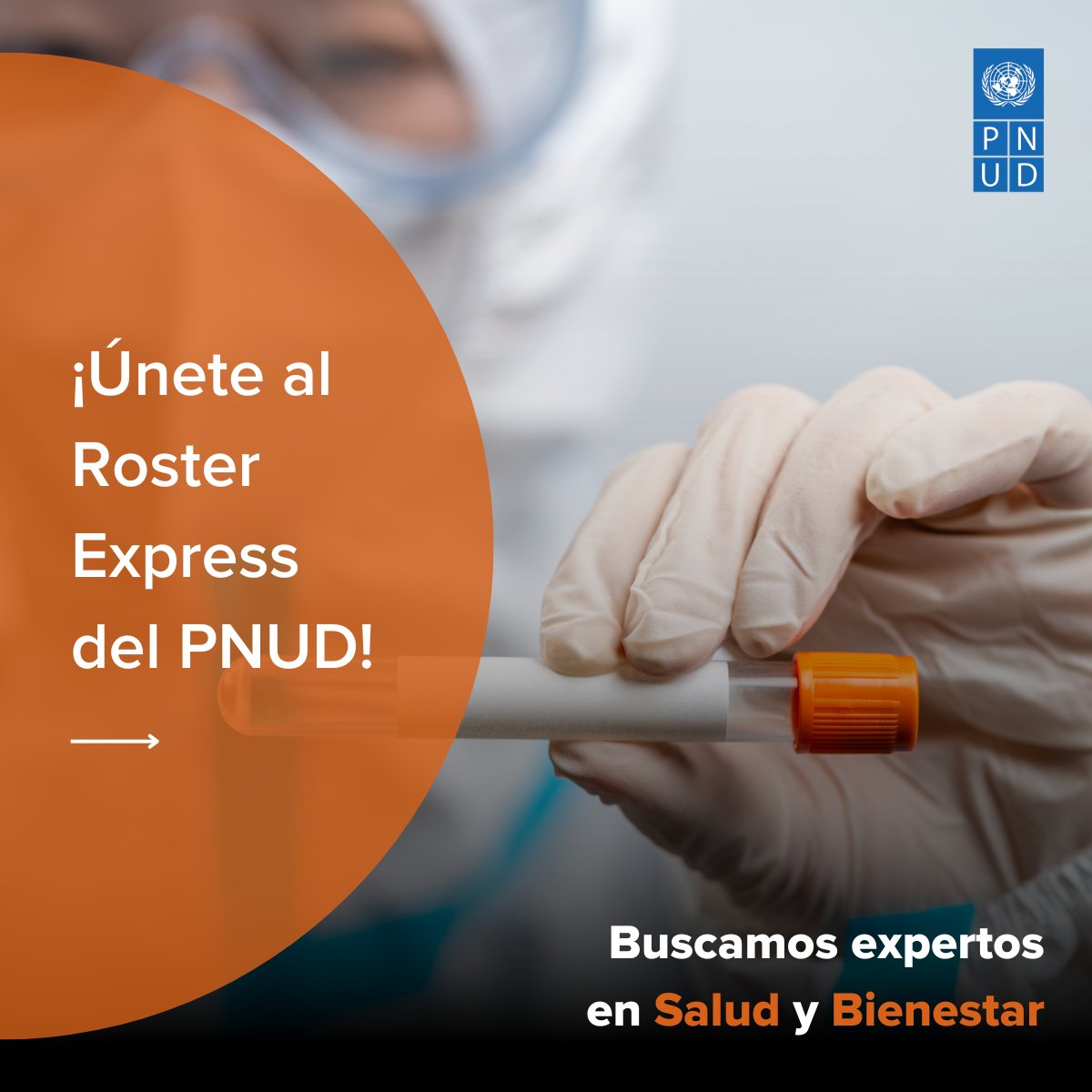 📣 ¡Únete a nosotros para abordar los desafíos globales!

🌎 El Roster Express del <a href="/pnud/">ONU Desarrollo</a> es un instrumento con alcance mundial y resultados impactantes.

➡️  Aplica ahora a más de 30 perfiles en esta lista: go.undp.org/expres-roster