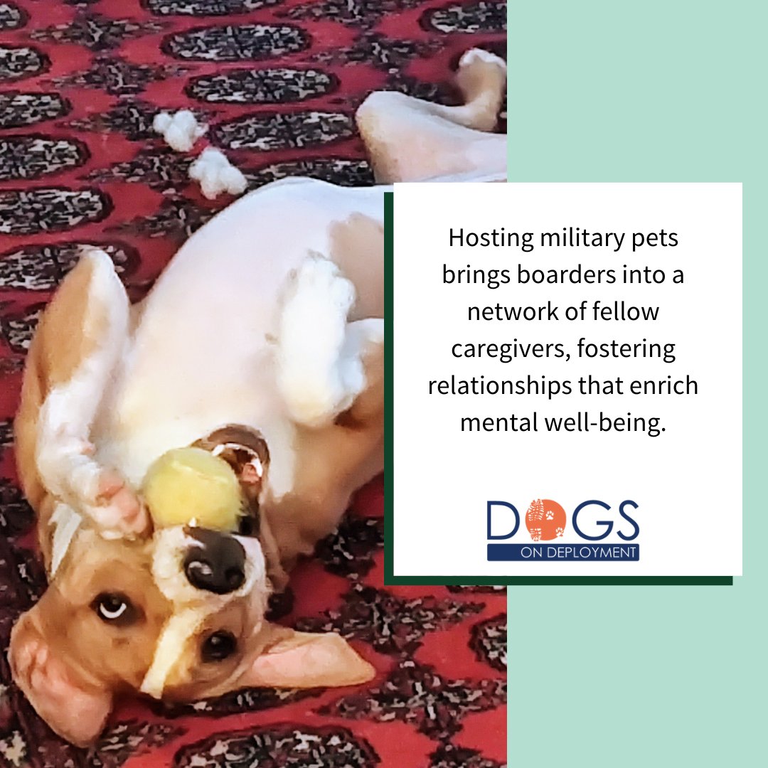 May brings sunshine, smiles, and something extra special—it’s not only Military Appreciation Month but also Mental Health Awareness Month! 🌼🐾

#MentalHealthAwareness #MilitaryAppreciation #HumanAnimalBond #DogsonDeployment