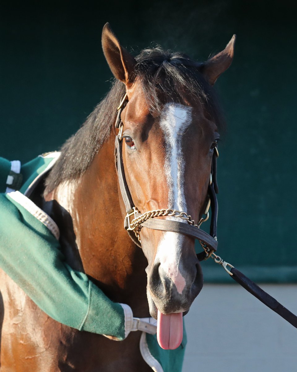 #KyDerby Statistic of the Day (via @PramanaLabs)!

The highest Equibase® Speed Figure posted by any of this year’s starters was Just Steel (112) in the G1 Arkansas Derby at Oaklawn Park, finishing second to Muth, who is not running in Kentucky Derby 150. The best last-race…