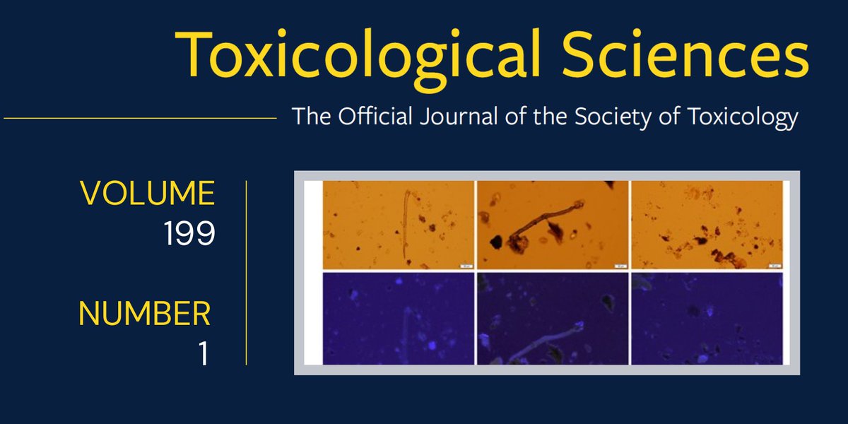 May 2024 @ToxSci #ToxSpotlight Article—Quantitation and Identification of Microplastics Accumulation in Human Placental Specimens Using Pyrolysis Gas Chromatography Mass Spectrometry academic.oup.com/toxsci/article… #FreeToRead