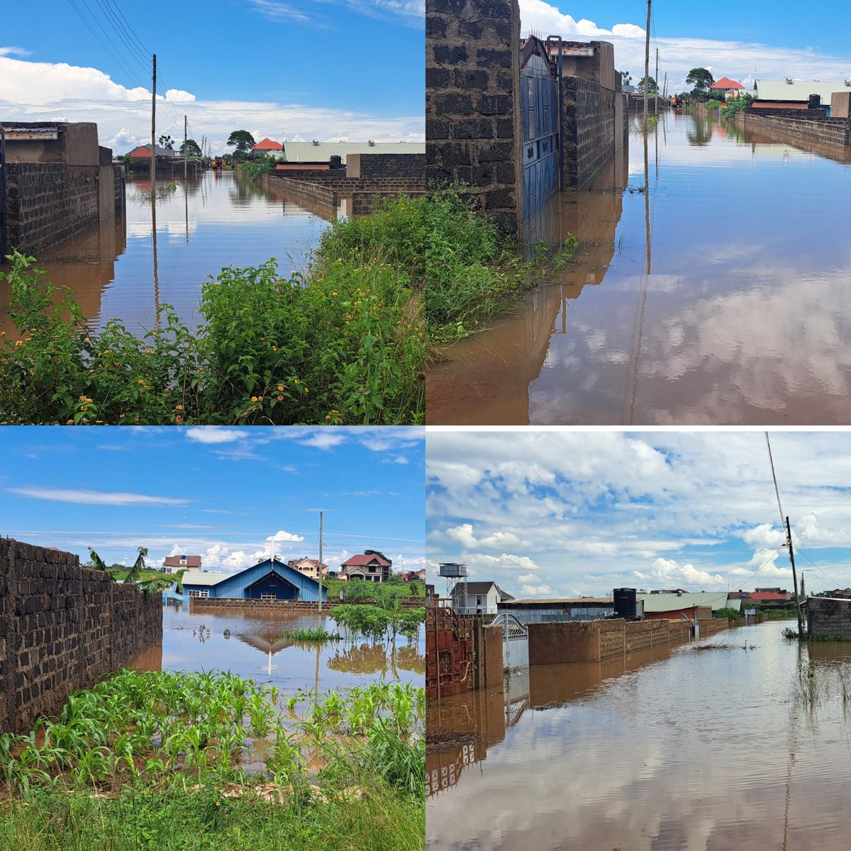 PCEA Macedonia Estate, Olyf Estate among others in Juja Constituency, Kiambu County fully submerged. People say they’re trapped. They were hoodwinked by Kameme/Inooro, corrupt clergy, illiterate millionaire celebs to vote for prolific idiots @KWamatangi & MP Koimburi and UDA