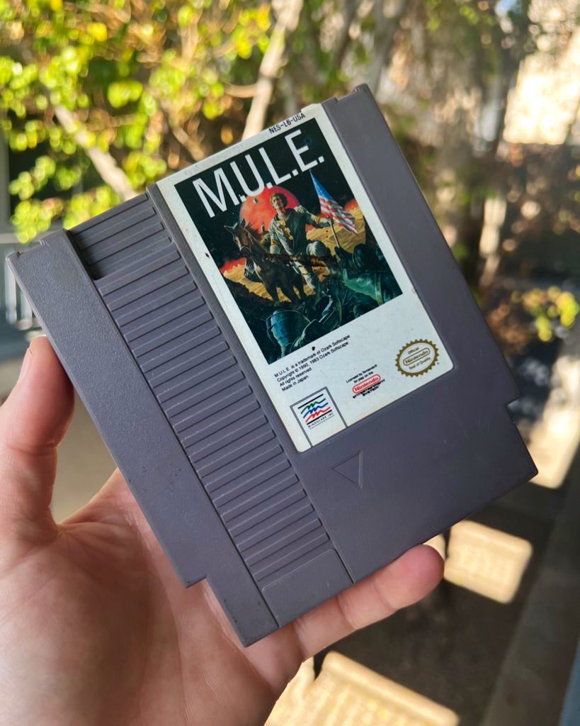 Share an NES game that doesn't get mentioned as often.