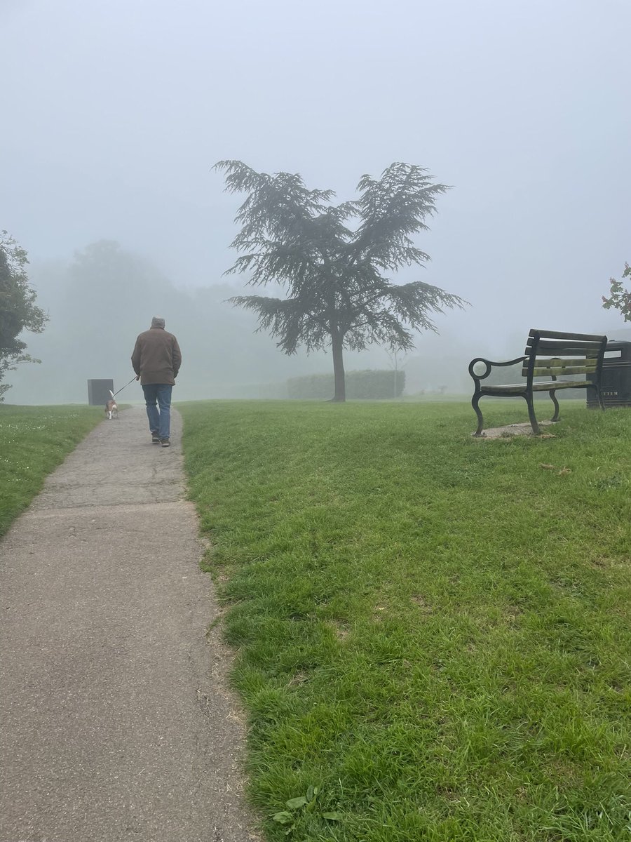 Misty morning walks 🐾🐾