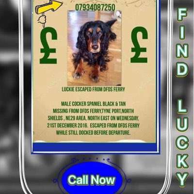 #NewProfilePic

#SpanielHour 

#HelpfindLucky 

MALE/Adult Blk&tan #CockerSpaniel missing from #DFDS FERRY ⛴️ 21/12/16 #NorthShields 
Always looking LUCKIE praying you’re safe & loved 

@RachaelB100 @bs2510 @WaterhousePat @pettheftaware @HelpFindLucky @JacquiSaid @thedogfinder