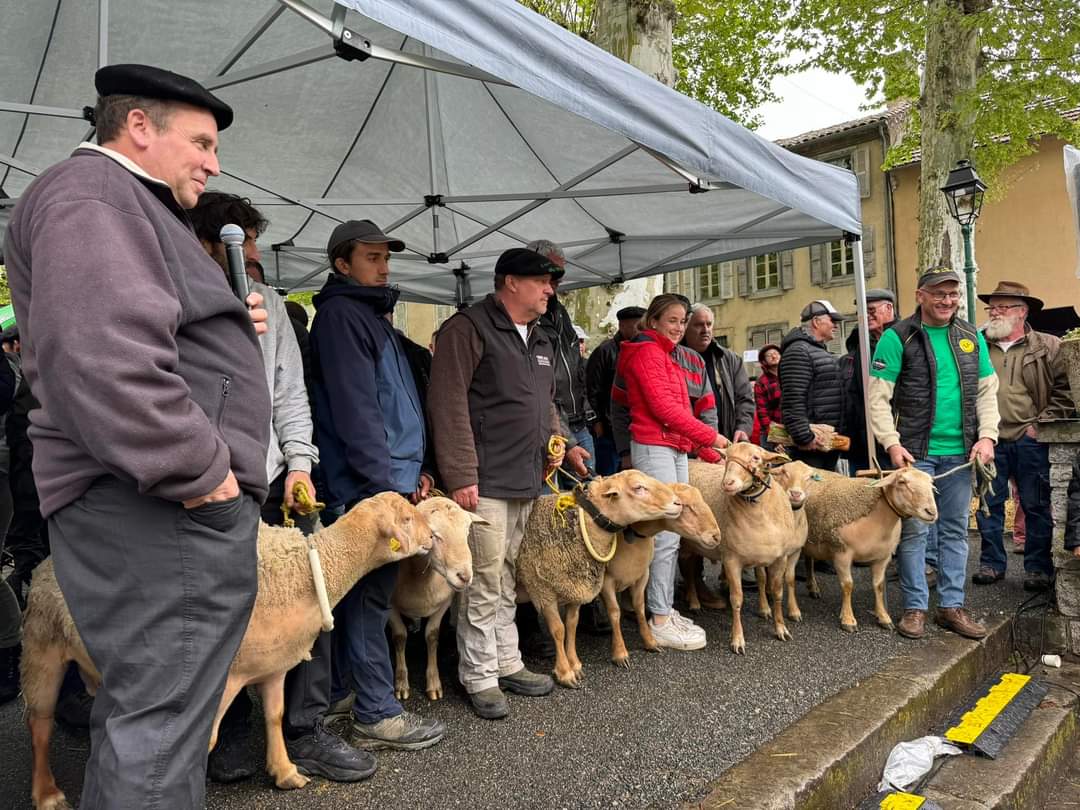 A la foire agricole au Mas d'Azil : ce sont toujours des moments forts de partage avec nos agriculteurs et nos éleveurs qui font un métier difficile et trop peu valorisé mais ont toujours le coeur et la fierté de présenter leurs bêtes et leur travail @kamelchibli @Occitanie